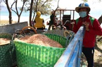 Ngư dân Ninh Thuận được mùa ruốc biển, thu nhập cả chục triệu đồng mỗi ngày