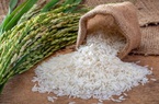 Lúa gạo tiếp tục là điểm sáng trong bức tranh xuất khẩu