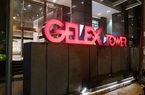 Gelex cầm cố cổ phiếu Viglacera đảm bảo cho công ty con