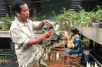 Lão nông Khánh Hòa sở hữu bộ sưu tập 4.575 cây bonsai mini “khủng” độc, lạ đạt kỷ lục thế giới