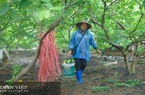 Bứt phá về mọi mặt để có được diện mạo hoàn toàn mới ở huyện vùng cao Võ Nhai