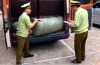 Lạng Sơn: Thu giữ gần 13.000 gói rau, quả giống nhập lậu