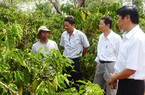 Bí quyết gì giúp doanh nghiệp này xuất khẩu cà phê sang Nhật Bản đều đều, giá cao ngất?