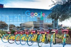 Mức lương "ngất ngưởng" đáng mơ ước của nhân viên Google