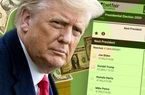 Thảm cảnh của những con bạc 5 lần 7 lượt đặt cược vào chiến thắng của Trump 