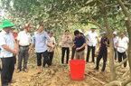 Hỗ trợ nông dân miền Trung khôi phục sản xuất sau mưa lũ: Khuyến nông làm “đầu tàu”, đi đúng hướng