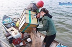 Tỉnh Quảng Ngãi có 1 "ngư trường" ở trên...núi, dân đánh bắt được vô số cá ngon, lên bờ là thương lái "khuân" sạch