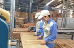 Làm thế nào để ngành gỗ không bị vướng vào các vụ kiện phòng vệ thương mại?