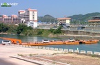 Nông nghiệp Việt Nam vượt đại dịch Covid-19: Kim ngạch xuất khẩu nông lâm thủy sản tăng trưởng