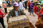 Gia Lai: Hộ nghèo KBang phấn khởi được Tập đoàn Mavin tặng 20.000 con giống gà, vịt