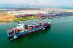 Cục Hàng hải yêu cầu hãng tàu container minh bạch giá cước vận chuyển