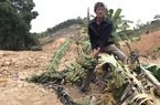 Cận cảnh sự cố vỡ kênh Bắc sông Chu - Nam sông Mã ở Thanh Hóa