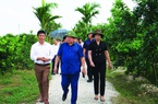 Mô hình Chi, tổ hội nông dân nghề nghiệp: Liên kết nông dân, tạo vùng sản xuất hàng hóa