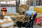 CLIP chó nghiệp vụ tìm thấy gần 5kg ma túy ở sân bay Tân Sơn Nhất