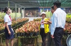 Agribank góp phần tạo sức bật mới cho làng hoa Sa Đéc