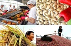Giá nông sản hôm nay (5/12): Lúa gạo tăng, cà phê, thịt lợn giảm nhẹ