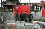 Quảng Ninh: Bắt 2 vụ vận chuyển 48.000 khẩu trang sang Trung Quốc