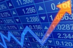 Nghịch lý: Lợi nhuận “bốc hơi”, cổ phiếu vẫn bứt phá
