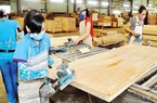Vì sao gỗ dán Việt Nam bị Mỹ điều tra?