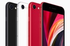 Apple chính thức ra mắt iPhone SE 2020 giá rẻ