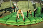 Bộ Công thương lại hỏa tốc xin ý kiến Bộ Tài chính về xuất khẩu gạo