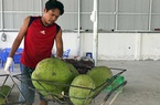 Đang rẻ rề, giá mít Thái miền Tây lại tăng vọt, dân phấn chấn