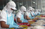 Xuất khẩu mực, bạch tuộc của Việt Nam giảm trong 3 tháng đầu năm 2020