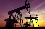 Giá dầu tăng trở lại sau thời gian “lao dốc”