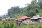 Hòa Bình: Nhiều giải pháp giảm nghèo ở các xã đặc biệt khó khăn