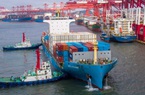 WTO dự báo dòng chảy thương mại toàn cầu nứt gãy do đại dịch Covid-19