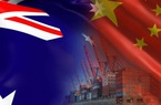 Bị áp thuế yến mạch 80,5%, Australia cũng điều tra hàng loạt sản phẩm Trung Quốc