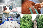 Xuất khẩu cao su, rau củ, thuỷ sản giảm, hạt điều và cà phê tăng 