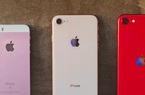 Apple 'thất hứa' với người hâm mộ iPhone SE vì xu thế chung