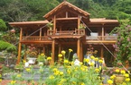 Số phận các đảo "đại gia" trên vịnh Bái Tử Long được định đoạt thế nào?