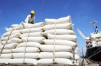 
Việt Nam trúng thầu xuất khẩu 60.000 tấn gạo sang Philippines