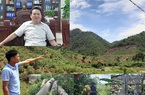 Phú Thọ: Đi tìm nguyên nhân hơn 1.000ha rừng tự nhiên "biến mất"