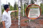 "Sập bẫy" Công ty phân bón, nông dân lao đao, đại lý đổ nợ (Bài 1)
