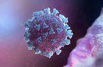 Virus SARS-CoV-2 có thể đã xuất hiện ở Tây Ban Nha sớm hơn Trung Quốc 9 tháng