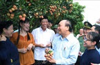 Vải thiều vào vụ, Thủ tướng lên Bắc Giang động viên đoàn xe xuất hành tiêu thụ vải
