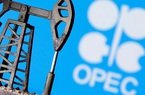 OPEC+ đồng ý gia hạn cắt giảm sản lượng dầu đến tháng 7