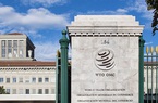 WTO chốt danh sách ứng cử viên cho vị trí Tổng Giám đốc