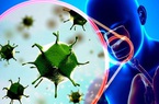 Sốc: Virus gần với SARS-CoV-2 xuất hiện ở Trung Quốc từ năm 2012