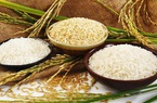 Châu Phi - thị trường đầy tiềm năng cho gạo Việt Nam