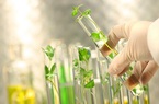 Trung Quốc đẩy mạnh nghiên cứu về thuốc nano trong nông nghiệp