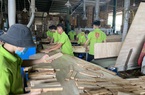 EVFTA không phải là cứu cánh, muốn vào EU, hàng phải ngon, an toàn, rõ ràng nguồn gốc