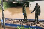 Bắt 6 tấn heo từ Campuchia nhập lậu vào Việt Nam