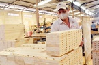 Thành lập đoàn kiểm tra áp dụng mã HS đối với nhóm các mặt hàng gỗ cao su xuất khẩu