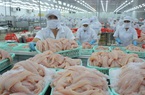 Cổ phiếu “Vua cá tra” Dương Ngọc Minh bị hủy niêm yết 