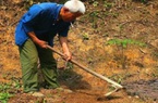 Cuốc đất đào được bình cổ báu vật, người nông dân tưởng nhầm bô đi tiểu suốt 26 năm.