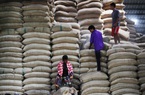 Thái Lan có nguy cơ rớt xuống vị trí thứ 5 về xuất khẩu gạo thế giới
